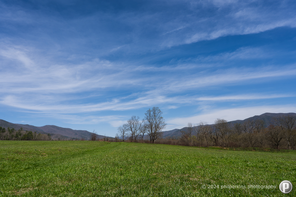 Green Field