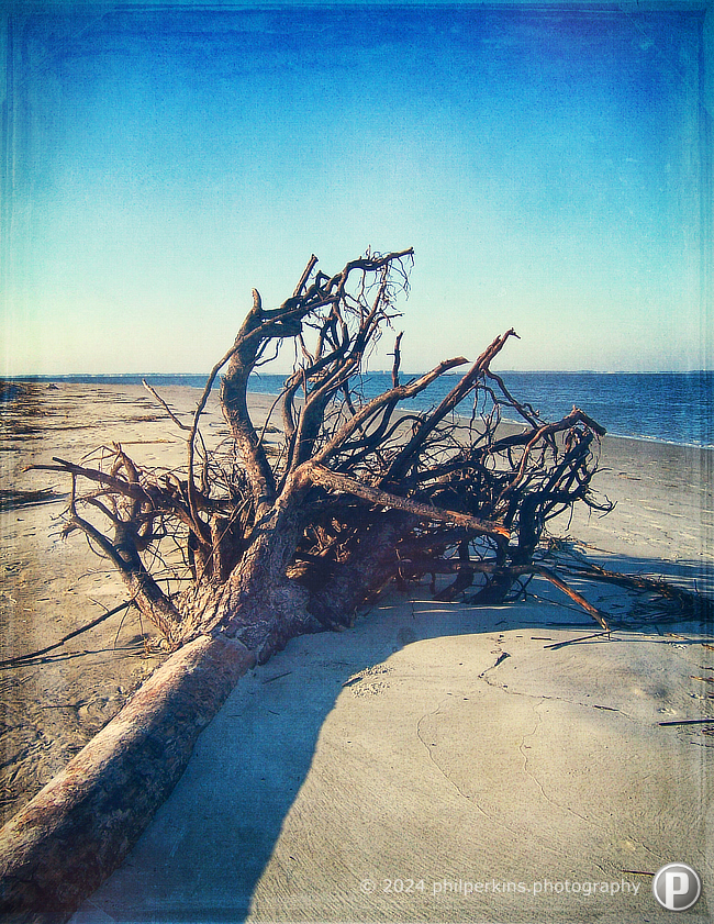 Vintage Driftwood