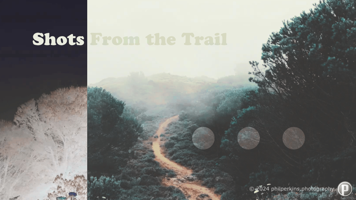 Shots From the Trail