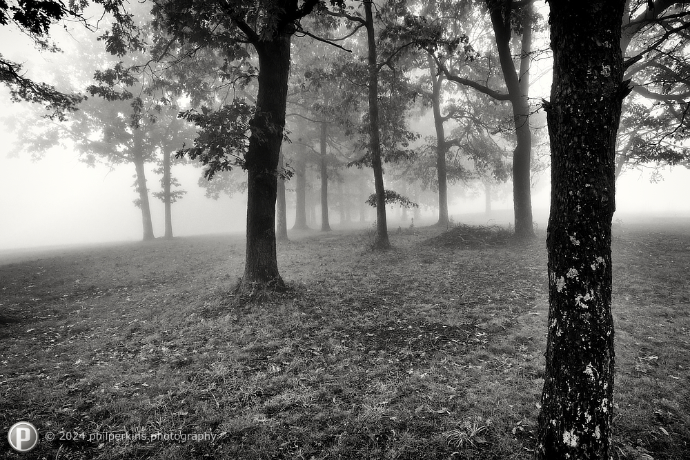 Black and White