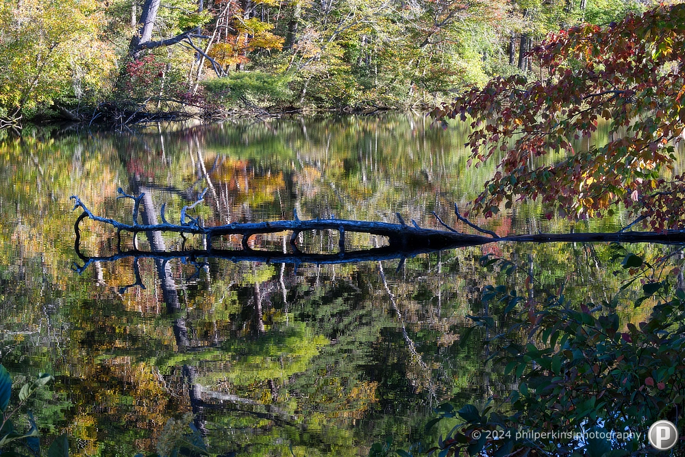 Reflections of Autumn