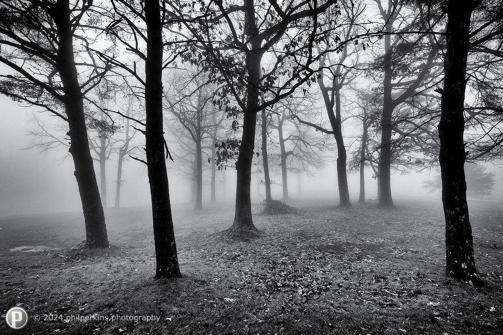 Moody Monotone