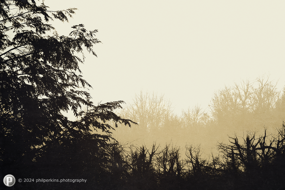 Through the Clouds