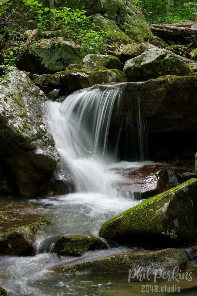 Water in the Woods