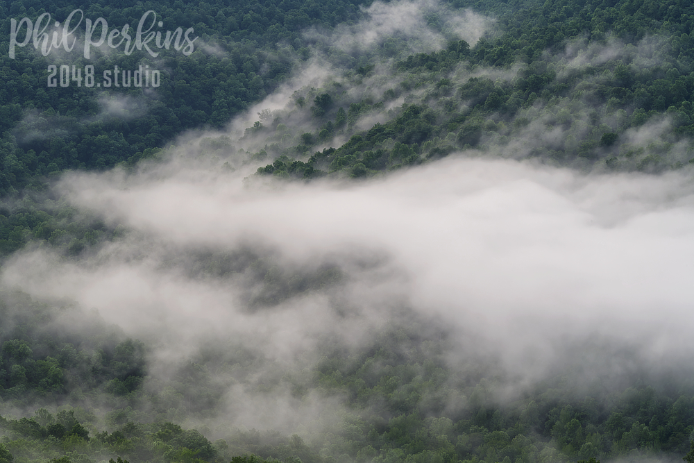 Fog Below