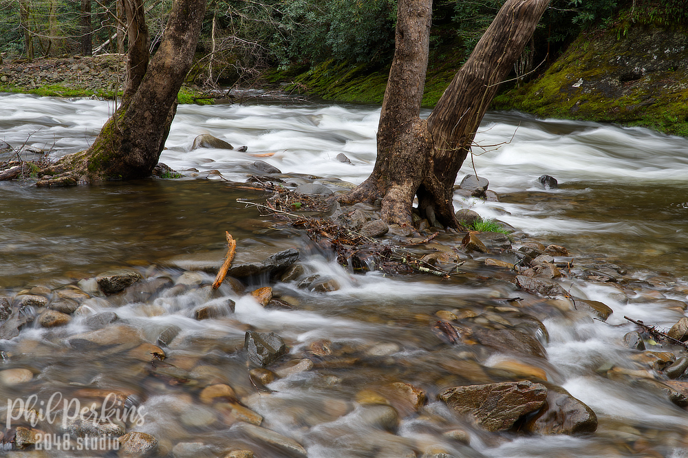 Rushing Stream and Trees