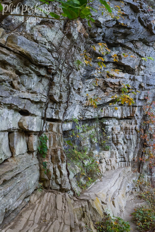 Gorge in Autumn