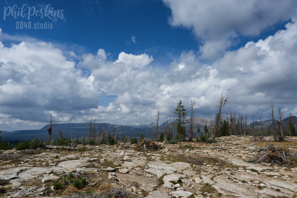 Scenic Summit