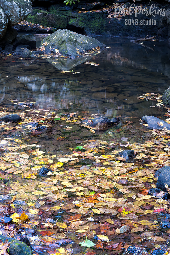 Reflections of Autumn