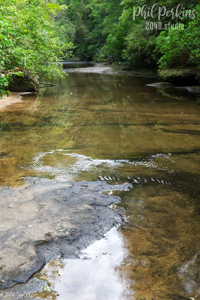 Serene Forest Stream
