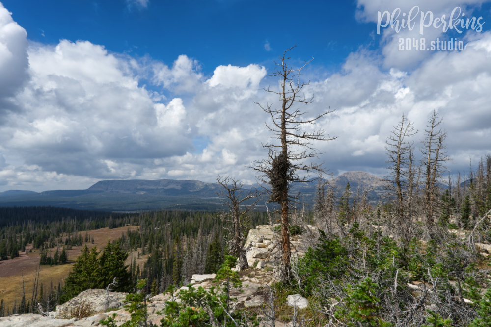 Utah Landscape