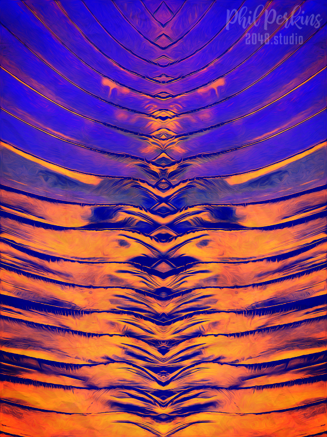 Abstract Palm Frond