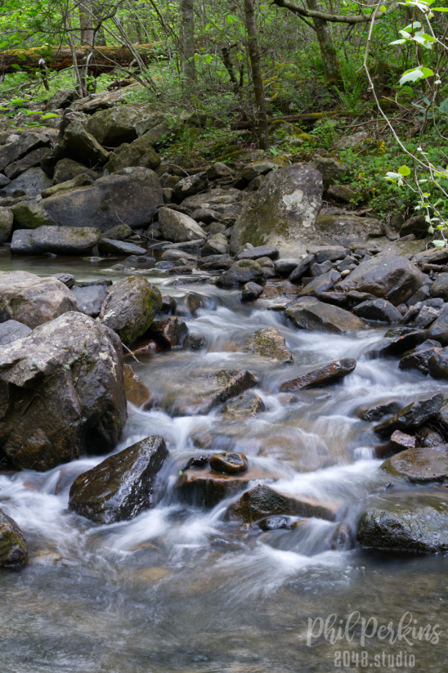 Tranquil Forest Stream