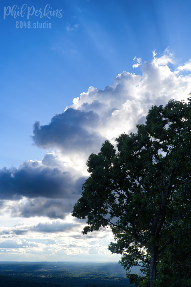 Tree Line Skyline