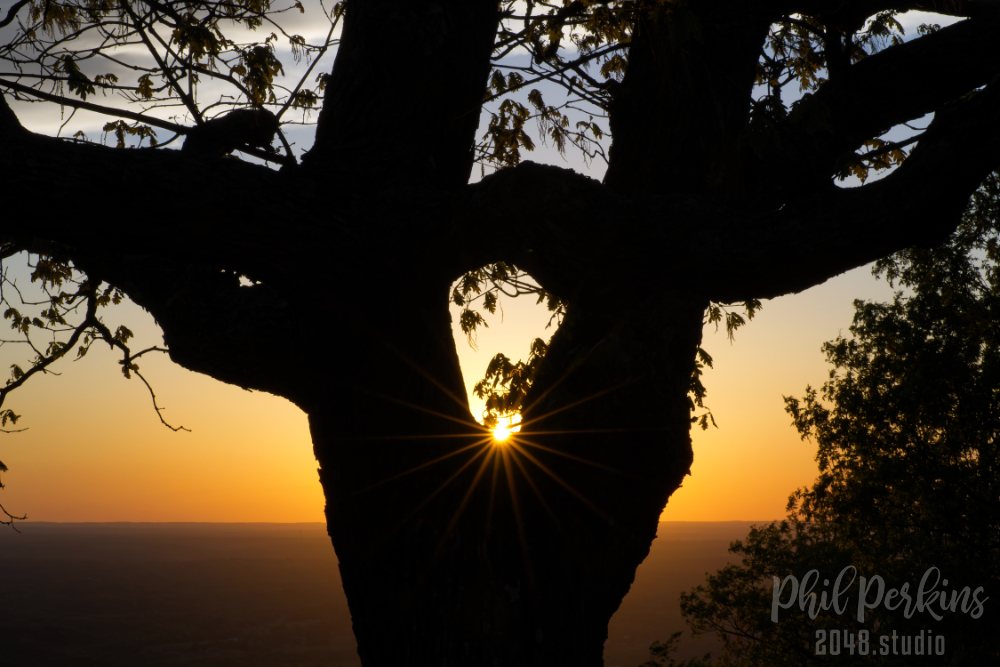 Silhouette Sunset