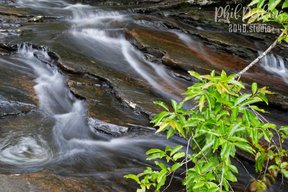 Terraced Forest Stream