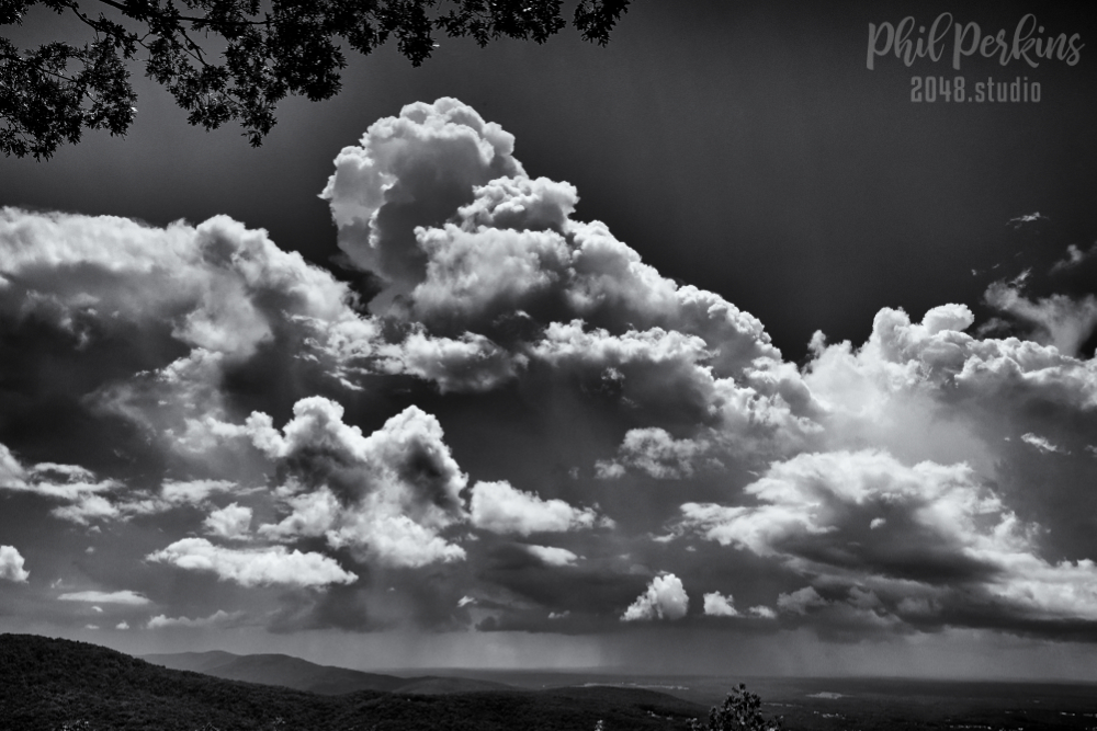 Black and White Vista