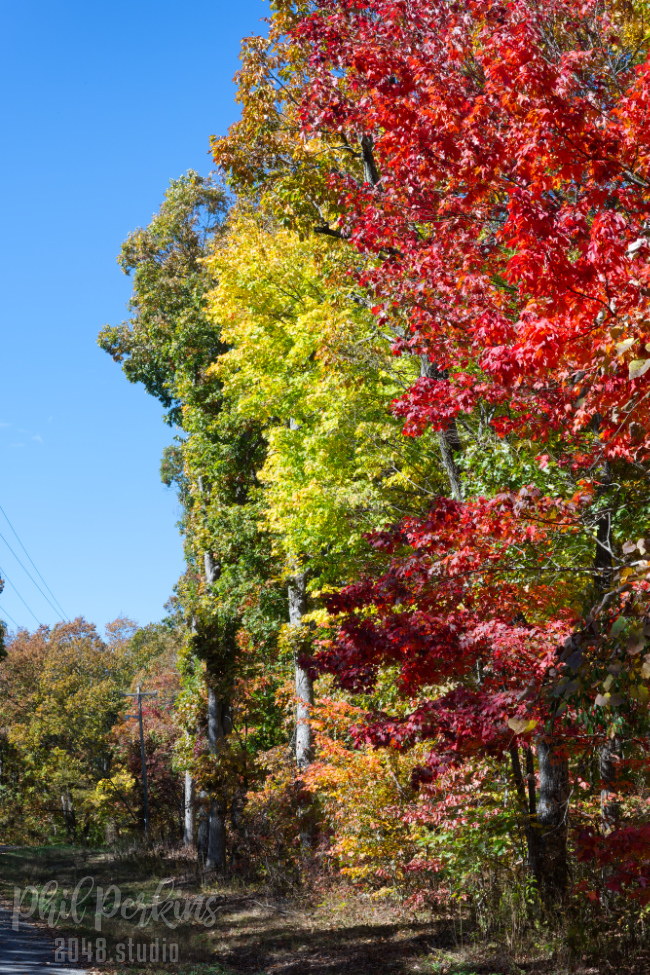 Roadside Attraction